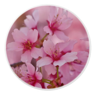 Bouton De Porte En Céramique Bathed in Pink Japanese Cherry