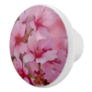 Bouton De Porte En Céramique Bathed in Pink Japanese Cherry