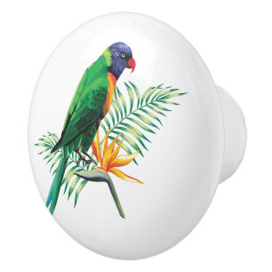 Bouton De Porte En Céramique Beau Oiseau Coloré Et Fleurs