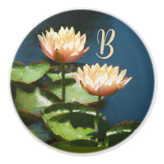 Bouton De Porte En Céramique Beau Peach Pink Blue Floral Tiroir Monogramme