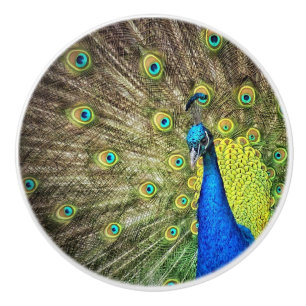 Bouton De Porte En Céramique Beau Peacock Knob