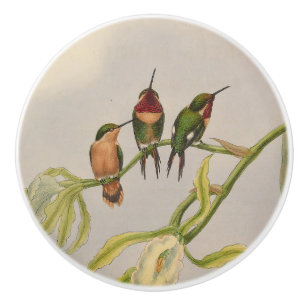 Bouton De Porte En Céramique beaux colibris