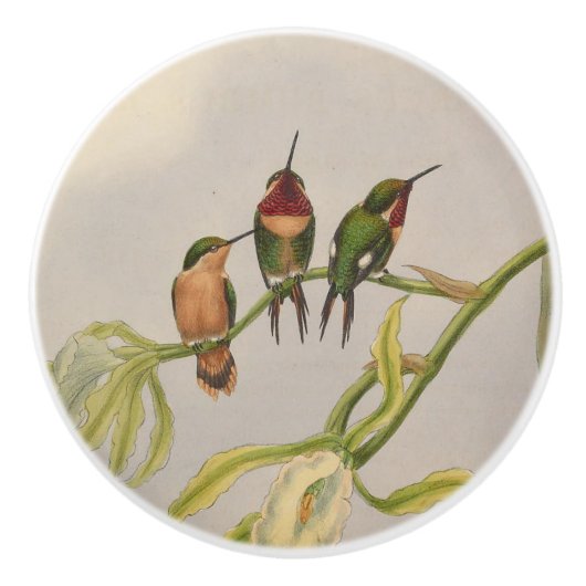 Bouton De Porte En Céramique beaux colibris (Devant)