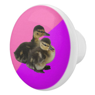 Bouton De Porte En Céramique Bébé Canards sur framboise rose et sorbet pourpre