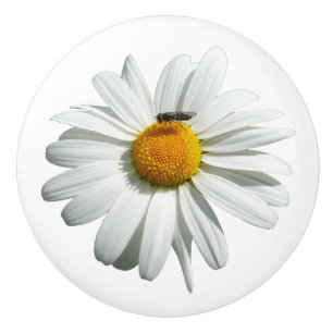 Bouton De Porte En Céramique Bee on Daisy Alaskan Summer Nature