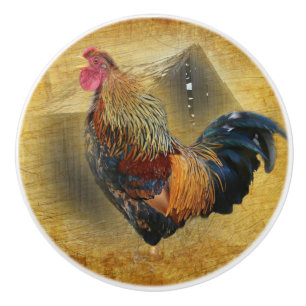 Bouton De Porte En Céramique Belle coop de poulet rôti et de grange rustique