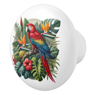 Bouton De Porte En Céramique Belle plage tropicale maison perroquet