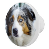 Bouton De Porte En Céramique Berger australien (Droite)