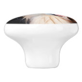 Bouton De Porte En Céramique Berner Sennenhund (Côté)