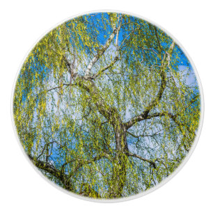 Bouton De Porte En Céramique Birch tree - Le printemps est dans l'air