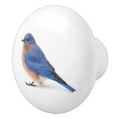 Bouton De Porte En Céramique Bluebird (Droite)
