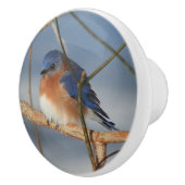 Bouton De Porte En Céramique Bluebird d'hiver  (Droite)