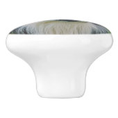 Bouton De Porte En Céramique Bordure Collie (Côté)