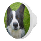 Bouton De Porte En Céramique Bordure Collie (Droite)