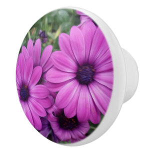 Bouton De Porte En Céramique Bouches violettes