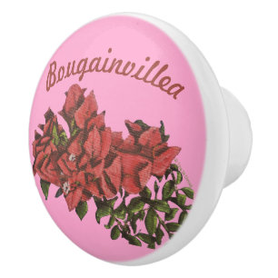Bouton De Porte En Céramique Bougainvillea Ceramic Knob
