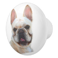 Bouledogue français heureux