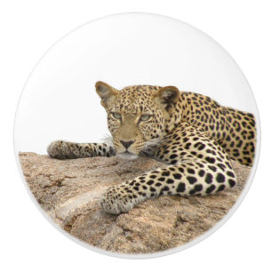 Bouton De Porte En Céramique Bouton de céramique Leopard, à droite (Tirer pou