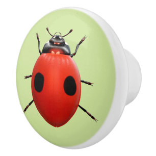 Bouton De Porte En Céramique Bouton en céramique coccinelle chanceuse