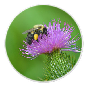 Bouton De Porte En Céramique Bouton en céramique d'abeille et de chardon