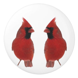 Bouton De Porte En Céramique Bouton en céramique de cardinaux