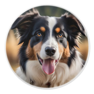 Bouton De Porte En Céramique Bouton en céramique de chien mignon Berger Austral