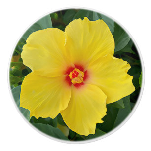 Bouton De Porte En Céramique Bouton en céramique de l'Hibiscus jaune