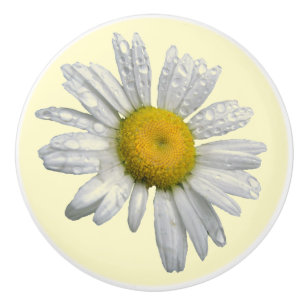Bouton De Porte En Céramique Bouton en céramique de marguerite blanche