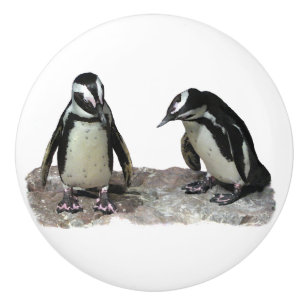 Bouton De Porte En Céramique Bouton en céramique de pingouins