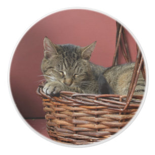 Bouton De Porte En Céramique Bouton en céramique de Sleeping Kitty