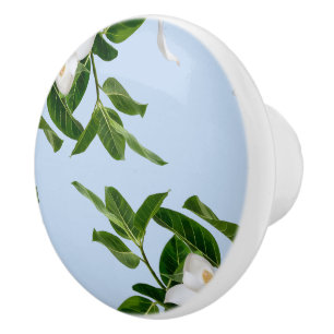 Bouton De Porte En Céramique Bouton en céramique élégante en fleur de magnolia