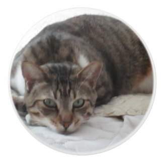 Bouton De Porte En Céramique Bouton en céramique fait sur commande de chat