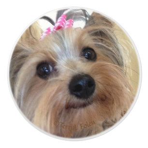Bouton De Porte En Céramique Bouton en céramique fait sur commande de Yorkie