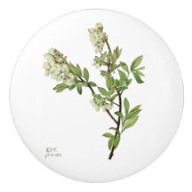 Bouton en céramique fleur de myrtille