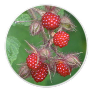 Bouton De Porte En Céramique Bouton en céramique framboise