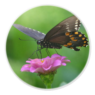 Bouton De Porte En Céramique Bouton en céramique papillon