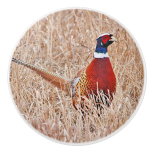 Bouton De Porte En Céramique Bouton en céramique personnalisée Pheasant à cou c