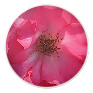 Bouton De Porte En Céramique Bouton en céramique rose