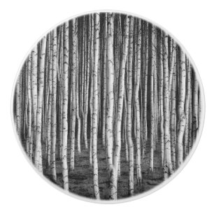 Bouton De Porte En Céramique Brézový grove bouleaux, russie