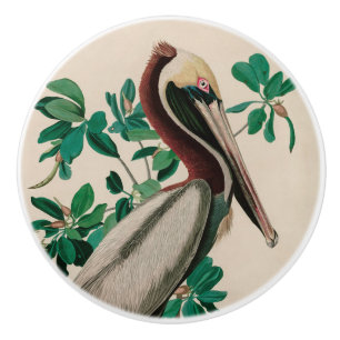 Bouton De Porte En Céramique Brown Pelican Birds of America Audubon Imprimer