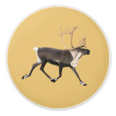 Bouton De Porte En Céramique Bull Caribou (Devant)