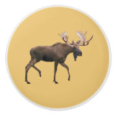 Bouton De Porte En Céramique Bull Moose (Devant)