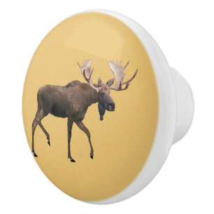 Bouton De Porte En Céramique Bull Moose