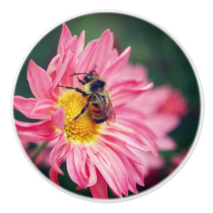 Bouton De Porte En Céramique Bumble Bee On Rose Daisy Flower 2