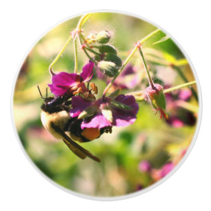 Bouton De Porte En Céramique Bumble Beer Sur Fleur Rose