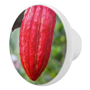 Bouton De Porte En Céramique cabosse rouge