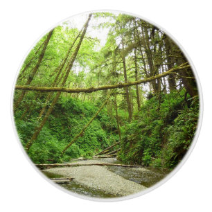 Bouton De Porte En Céramique Canyon Fern I au Parc national de Redwood