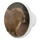 Bouton De Porte En Céramique Capybara (Droite)