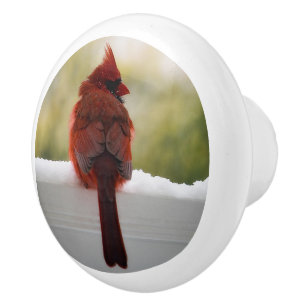 Bouton De Porte En Céramique Cardinal dans la neige