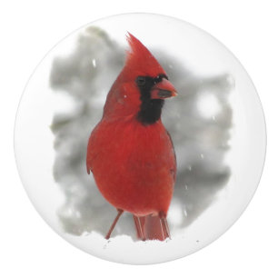 Bouton De Porte En Céramique Cardinal dans le bouton en céramique de neige
